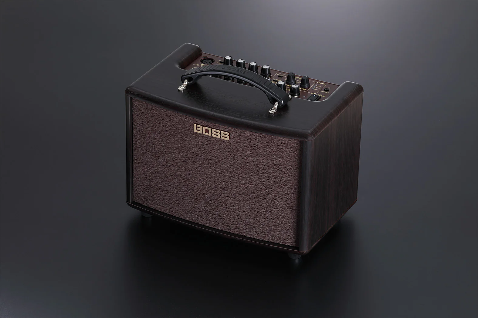 Roland AC-22LX Guitar Amplifier - Image 5