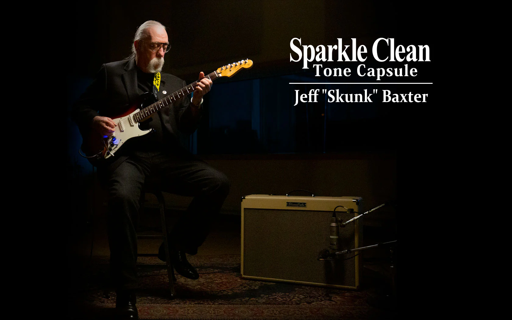 Roland BC TC-SC Sparkle Clean Tone Capsule (For Blues Cubes) - Image 3