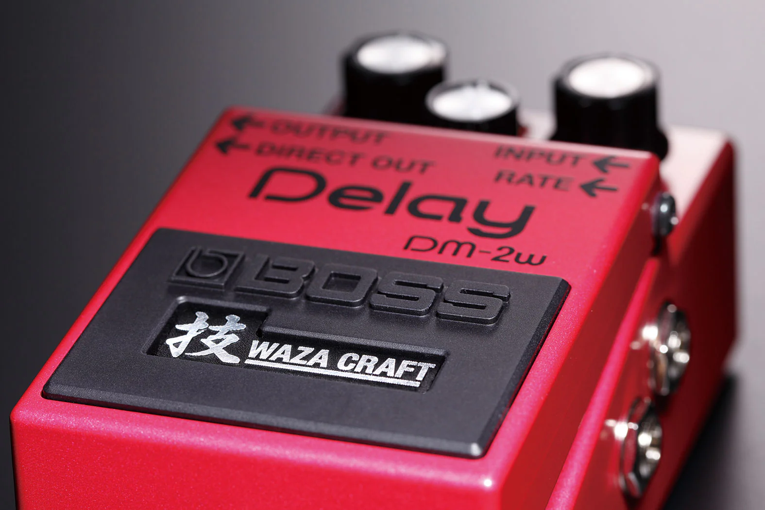 BOSS DM-2W Waza Craft Bucket Brigade Analog Delay Pedal - Image 4