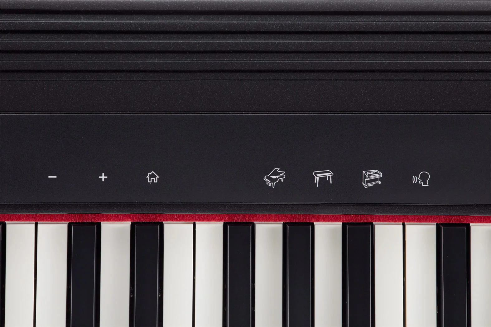 Roland GO:PIANO Go:Piano 61-note Keyboard - Image 6