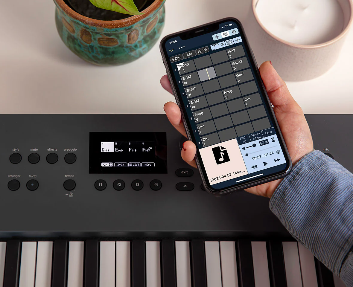 Roland GO:KEYS-5 Music Creation Keyboard (Graphite) - Image 6